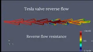 Tesla Valve Forward Flow