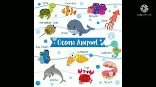 All type of animals,, birds,, insects,, land, water, ocean, farm, etc... 🐶🐱🐭🐱🦊🐱🐻🐯🦁🐷🐣🐦🦆🦆🐴🐝🐺🐺🕷🦎🦖🦂🦞🦂🦐