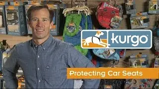 How to Protect Your Car from Dog Fur, Slobber and Mud