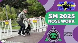 SM 2025 - blandade sökfilmer