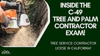 Inside the C-49 License Exam! New Tree and Palm Contractor License in California! 2024 CSLB Update!