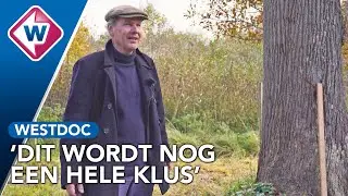 Deze weg legt een boomstam af voordat het een schip wordt