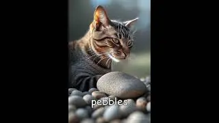 #shorts #imaginationstories #cat