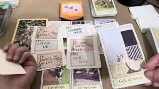 大眾占卜🤩你對他而言是什麼呢？（感情/愛情）