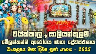 වයික්කාල, වේලන්කන්නි ආරෝග්‍ය දේව මාතා දේවස්ථානයේ වාර්ෂික මංගල්‍යය මහා දිව්‍ය පූජා යාගය | 2025