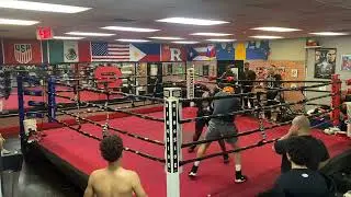 165 Golden Gloves Champions Sparring