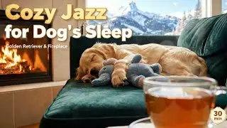 Cozy Jazz for Dogs Sleeping - Golden Retriever & Fireplace Ambience