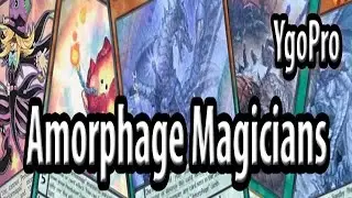 Amorphages on YgoPro (SHVI) - The Floodgate archetype.. You shall NOT play Yu-Gi-Oh!