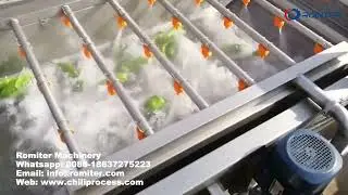 Fresh Chili Pepper Water Washing Machine