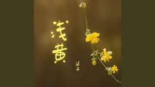 浅黄