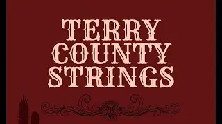 Blue Eyes Crying In The Rain Terry County Strings
