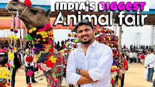 India&rsquo;s Biggest Animal Fair 🐪🐎/ Pushkar Animal Fair 2025✌️ #pushkar 