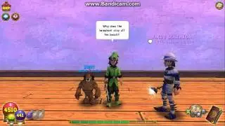 Wizard101 Jokes #2