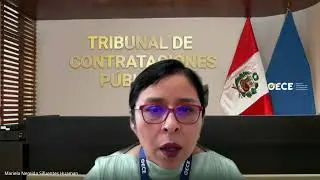 Audiencia de Apelaci&oacute;n del Tribunal de Contrataciones del Estado S.6.EXP.10910.2025.TCE (08-01-2026)