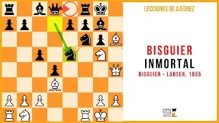 Lecci&oacute;n de ajedrez: Bisguier inmortal. Bisguier - Larsen, 1965