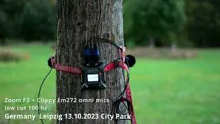 Zoom F3 + Clippy em272 omni mic field recording