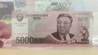 North Korea Money (SET 2)