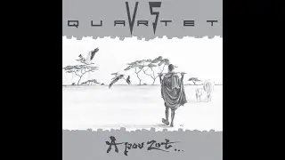 VS Quartet - Mr J.C | DD 06 Digger's Digest Official Reissue