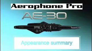 Roland Aerophone Pro AE-30 Appearance summary【Anyipapa Talk】