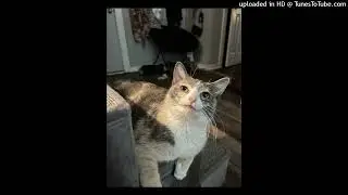 jean dawson & harmony tividad ~ ghost*