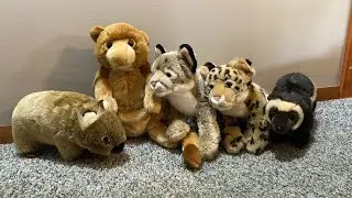 Plush Unboxing (SOS Tree Kangaroo, SOS Wolverine, SOS Caracal, Born In Africa Jaguar, and Wombat)