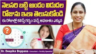 అండం విడుదల రోజు | How to Calculate Most Fertile Days | Ovulation Calculator | Oasis Fertility