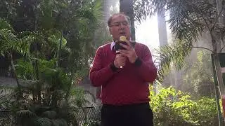 Jab koi baat bigad jaaye 
