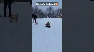 Normafa 🤩 #budapest #snow #normafapark #hungary #snowfall #europe #winter #wintervibes