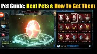Darkness Rises Pets Guide: Best Pets & How To Get Them?!