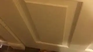 RAINBOW SIX SIEGE irl spotter