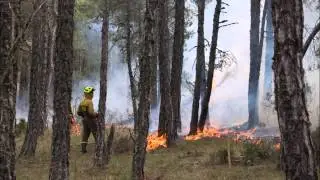 Quemas prescritas bajo arbolado (Cuenca, España)