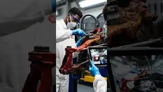 ASMR Car Restoration! Abandoned Ferrari F430 Spider Rebuild #shortsvideo #shots #shorts