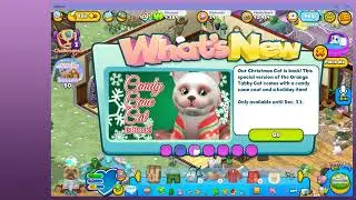 Leahbee Streams Webkinz Classic and Webkinz Next &middot; 12/10/25 &middot; fashion show time!!