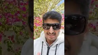 شرف الخصومة بين ابن مشيط وابن عائض . قصة تاريخية .