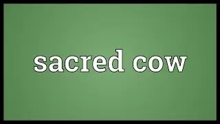 Sacred cow Meaning