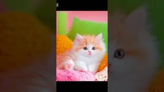 Cute🐈#shorts video #ailovers #aicreater