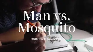 Man vs. Mosquito