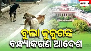 Sterilization Order For Stray Dogs | Puri | Argus News