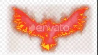 Phoenix Alpha | Motion Graphics - Videohive template