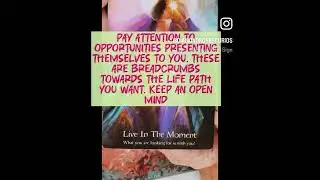 Sufi Deck Daily