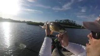 Dutton Island 8-21-16 kayak fishing
