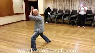 Saam Jin Pai Yui Kui: Sifu Ip Chee Keung