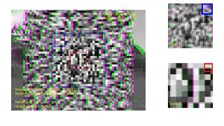 Active Efficient Coding Model tested on Random Dot Stereograms