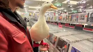 I took my Duck to Music 🎶 