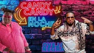 CANDY CANDY en La NOCHE  | ENTREVISTA OVEJA NEGRA