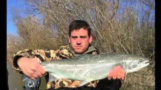 Russian River Drift 