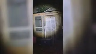 Rats causing chaos for Irish Channel residents