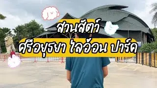 พาลูกเที่ยว &ldquo;สวนสัตว์ศรีอยุธยา ไลอ้อน ปาร์ค&rdquo; | PB CACTUS channel