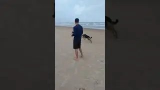 E revo brushless 6s on Beach vs 2 dogs Brazil