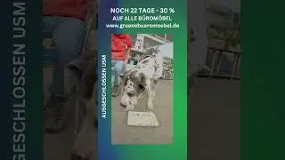 22 Tage verbleiben in unserer 30 Prozent auf Alles Aktion bei Gr&uuml;ne B&uuml;rom&ouml;bel in Z&uuml;lpich.